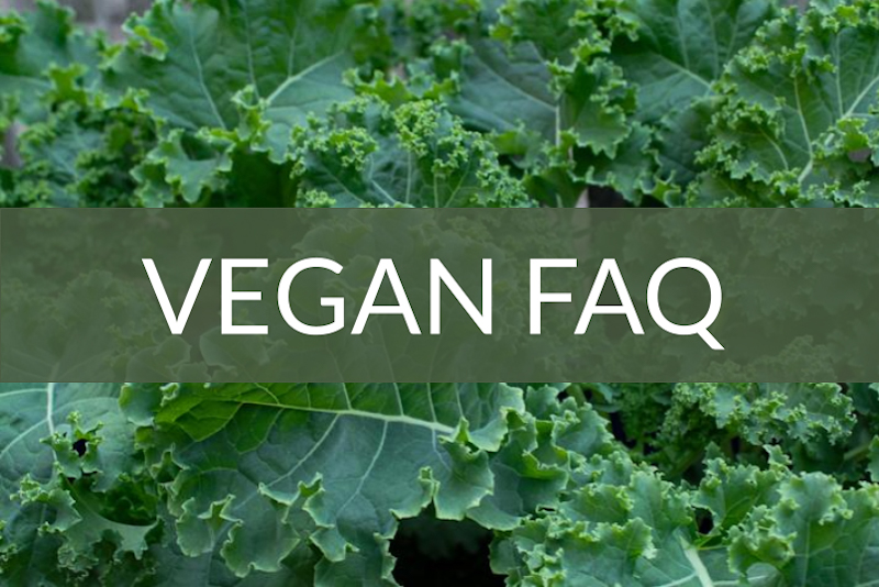 Vegan FAQ