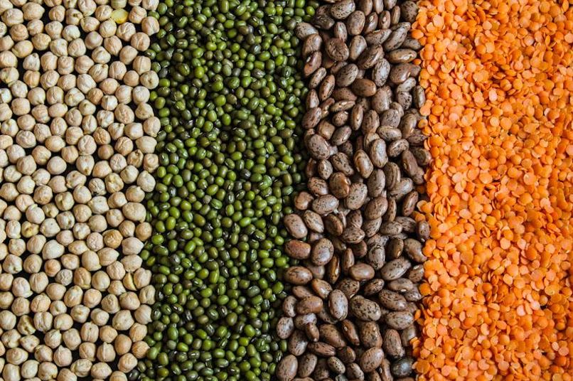 Vegan Protein Pulses