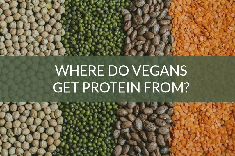 Vegan Protein Sources