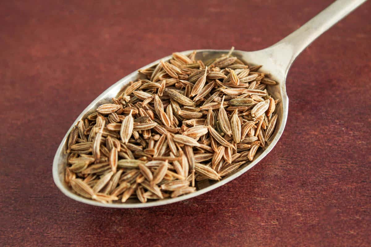 Whole Cumin Seeds on Teaspoon Close-Up