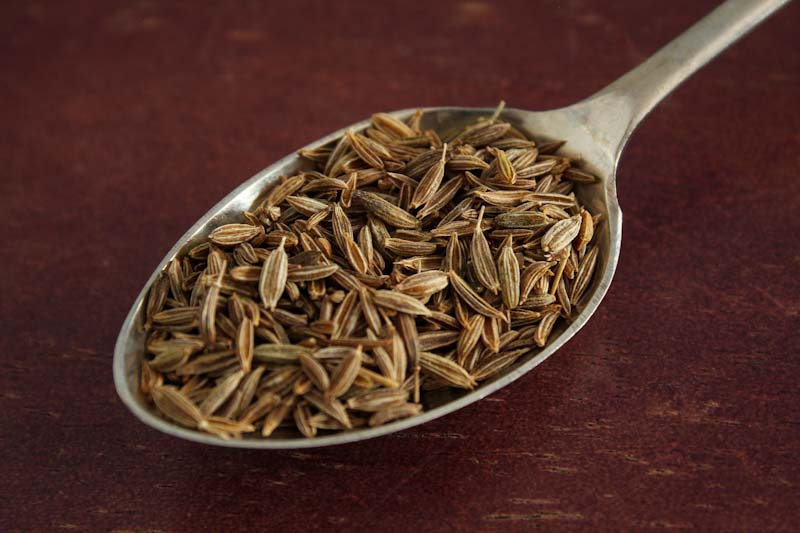 Cumin Seeds on Spoon