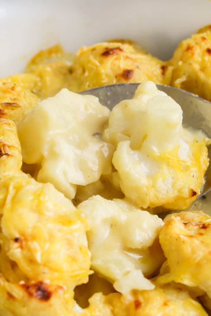 Vegan Cauliflower Cheese (Nut-Free + Gluten-Free) - The Pesky Vegan