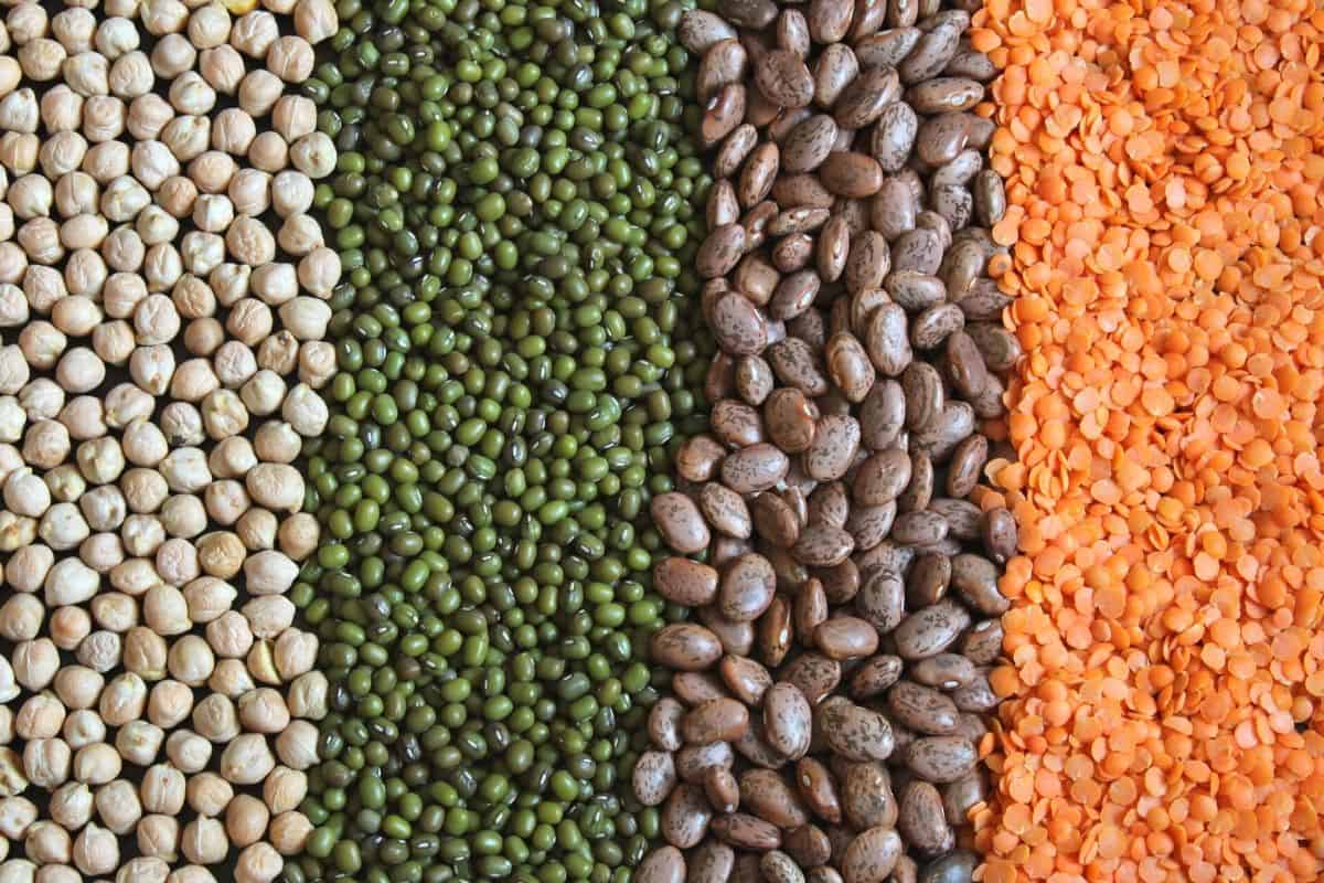 Dried Chickpeas, Lentils, and Beans