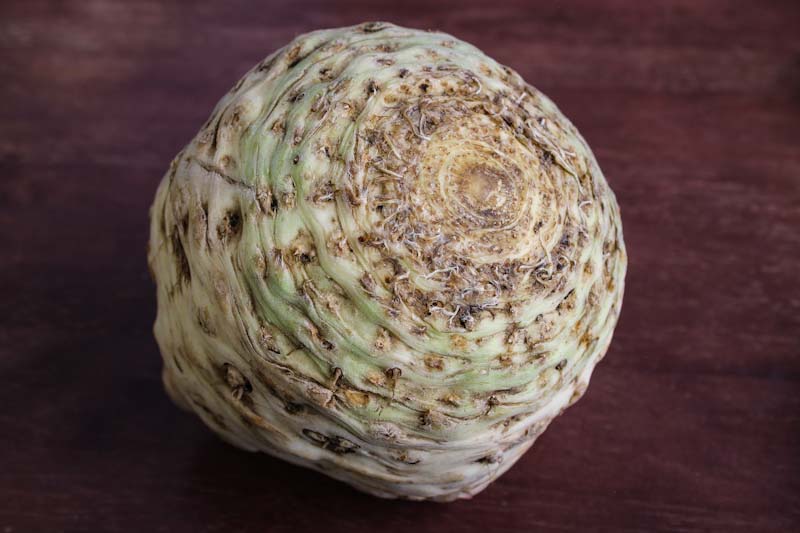Unpeeled Whole Celery Root