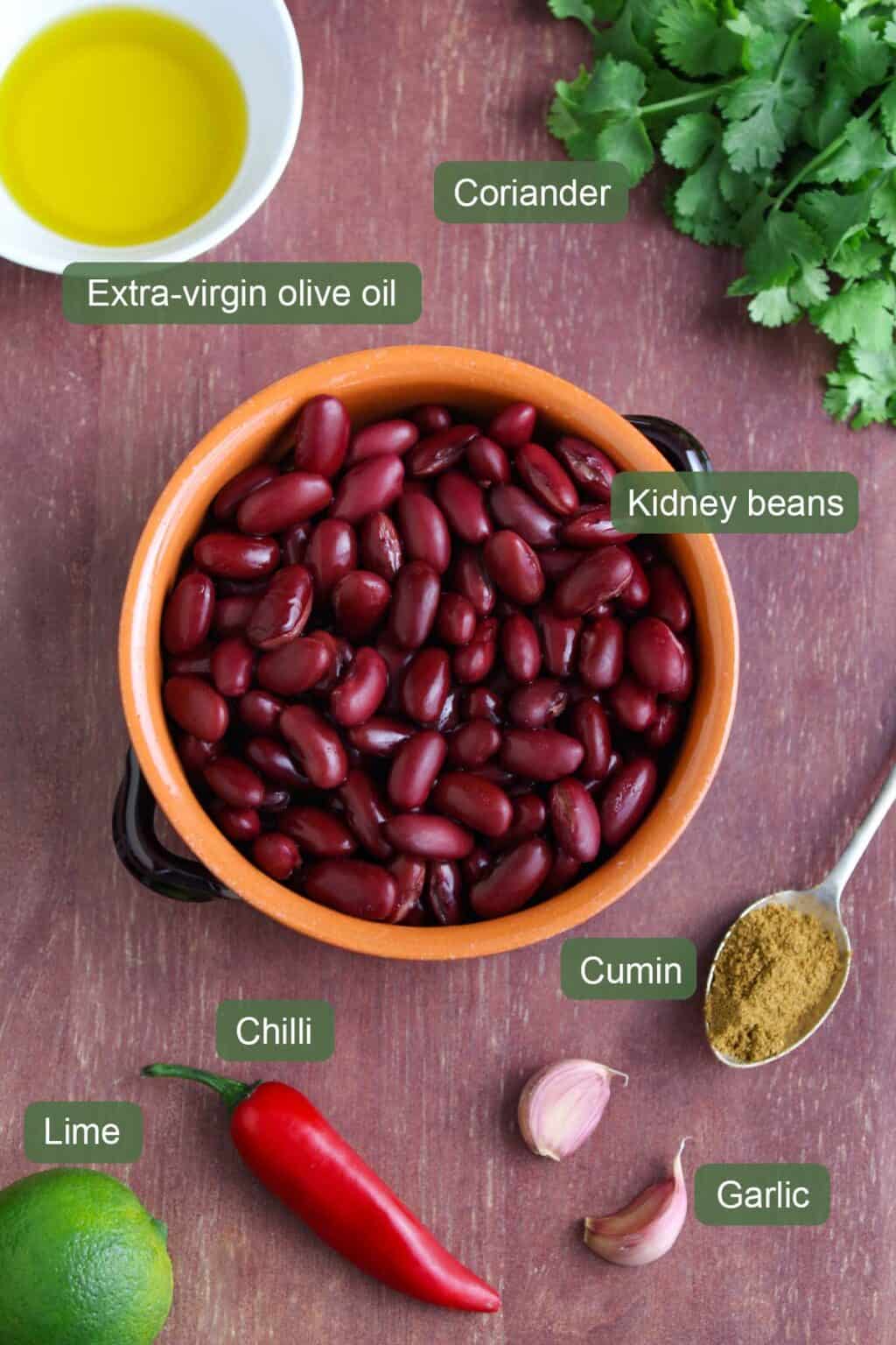 Kidney Bean Dip with Chilli, Cumin, and Coriander The Pesky Vegan