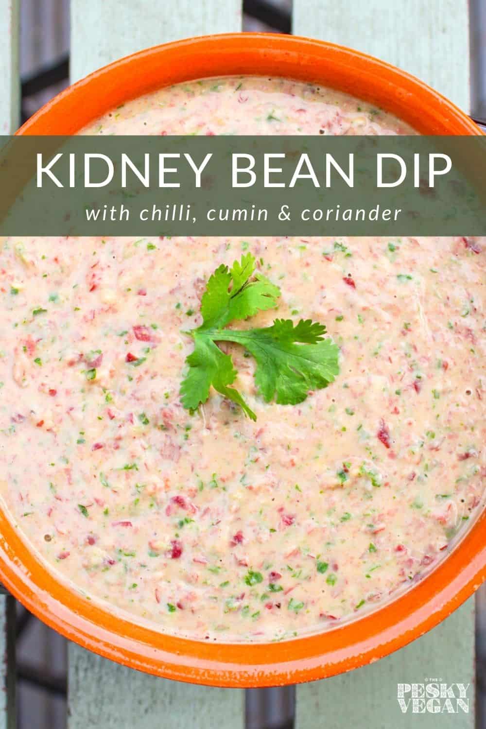 Kidney Bean Dip with Chilli, Cumin, and Coriander The Pesky Vegan