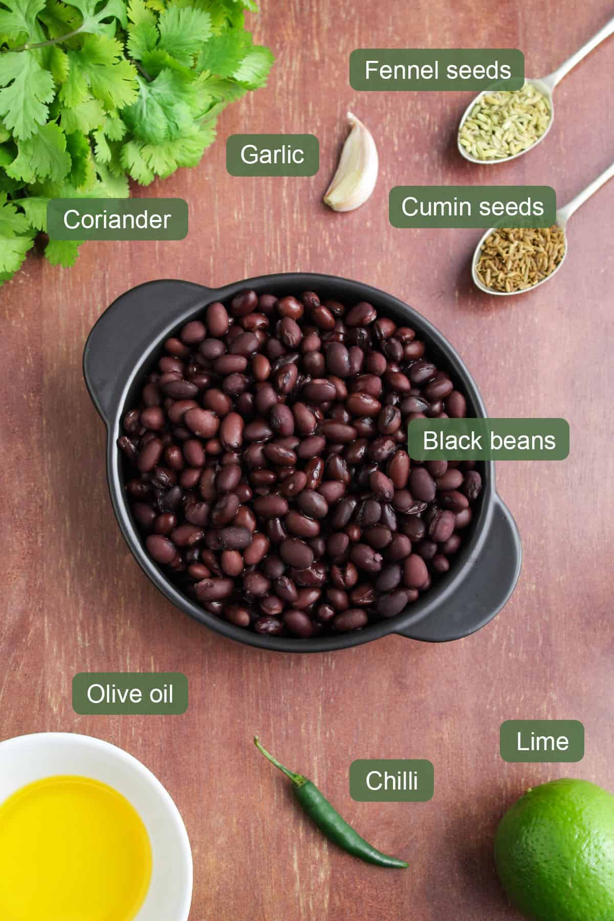 List of Vegan Ingredients to Make Black Bean Dip