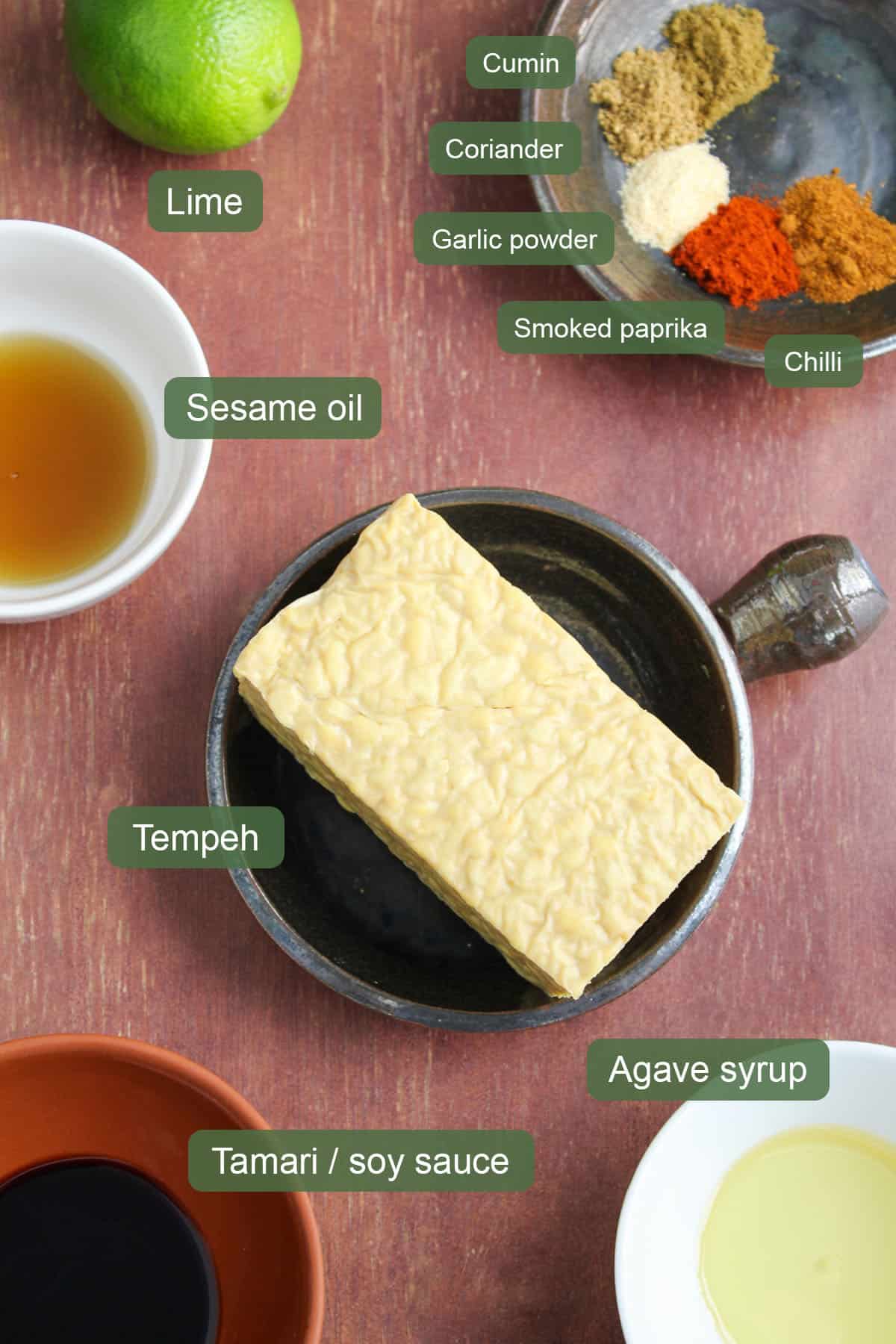 List of Ingredients to Make Delicious Marinated Grilled Tempeh