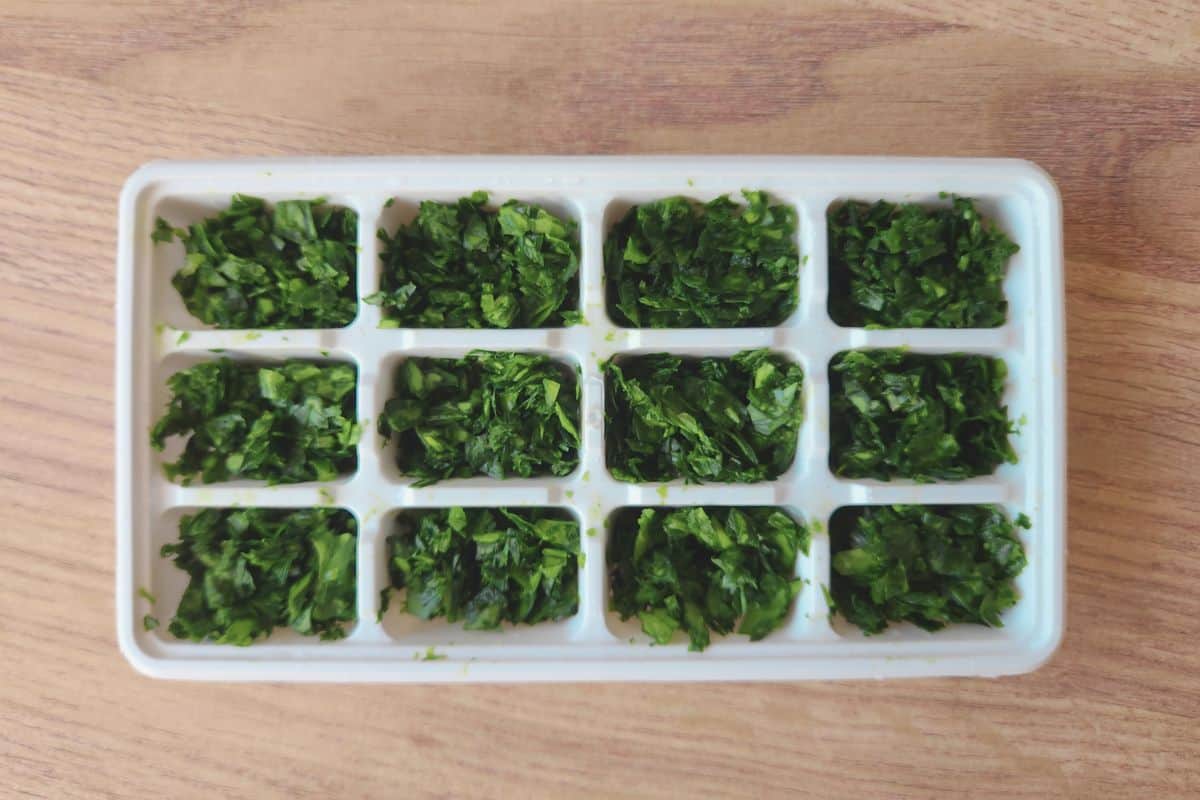 Finally chopped wild garlic leaves added to ice cube tray