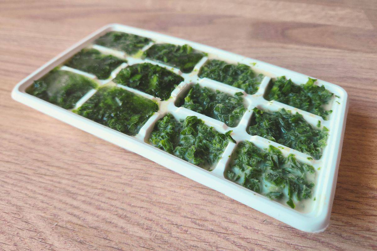 Frozen cubes of wild garlic in olive oil and cubes in ice