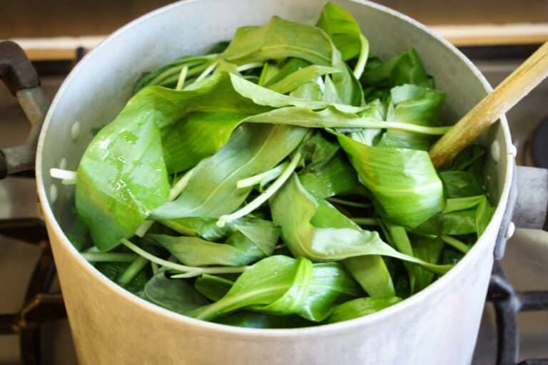Wild Spring Garlic Wild Garlic (Ramsons): What It Is, How to Use It + Vegan Recipes - The ...