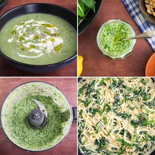 Wild Garlic Recipes Round-Up