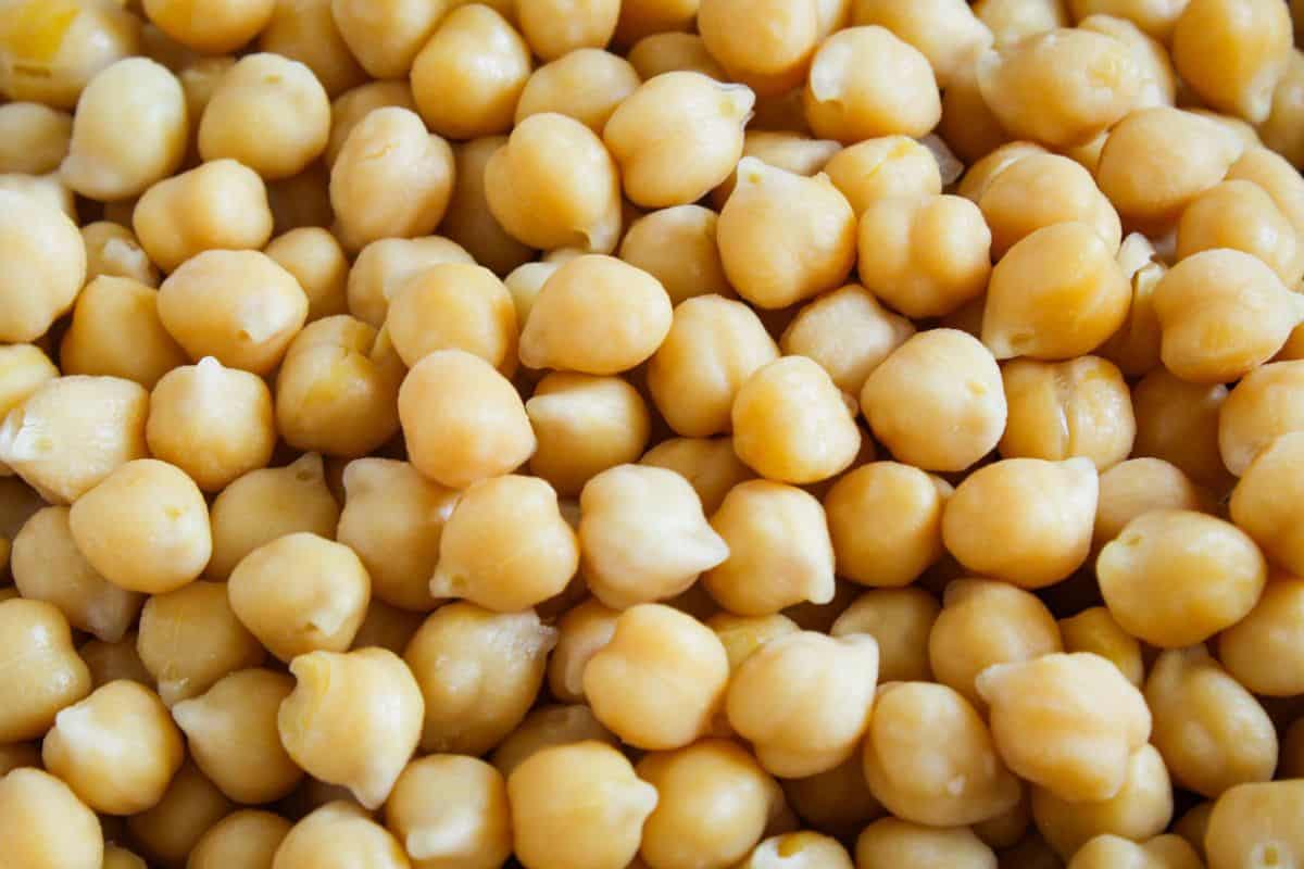 Close-up of cooked chickpeas a.k.a. garbanzo beans