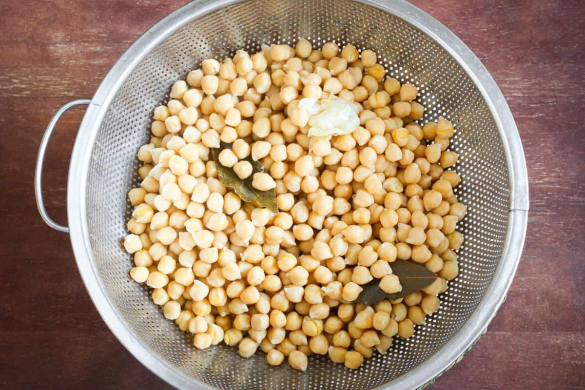 Cooked garbanzo beans in colander
